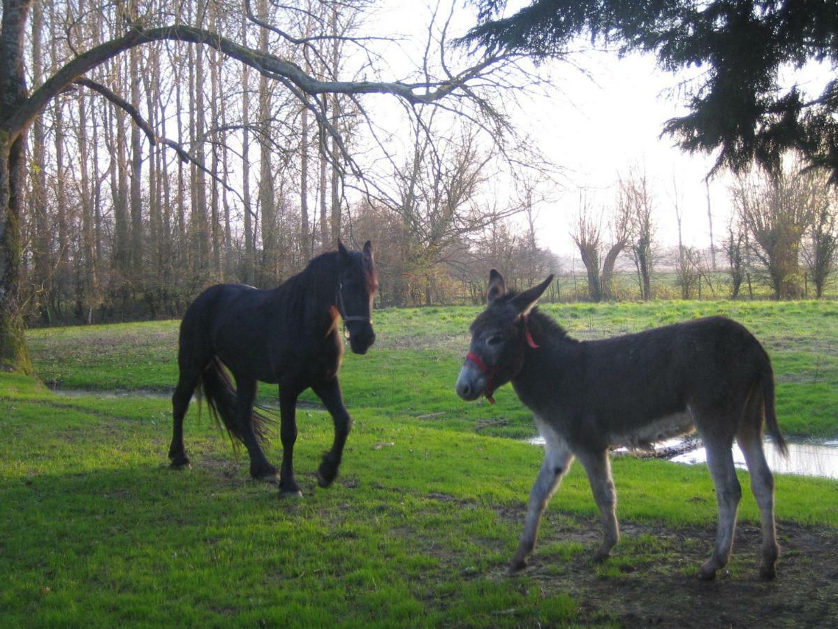 Villa La Ferme De Tigny Exterior foto